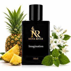 IMAGINATION